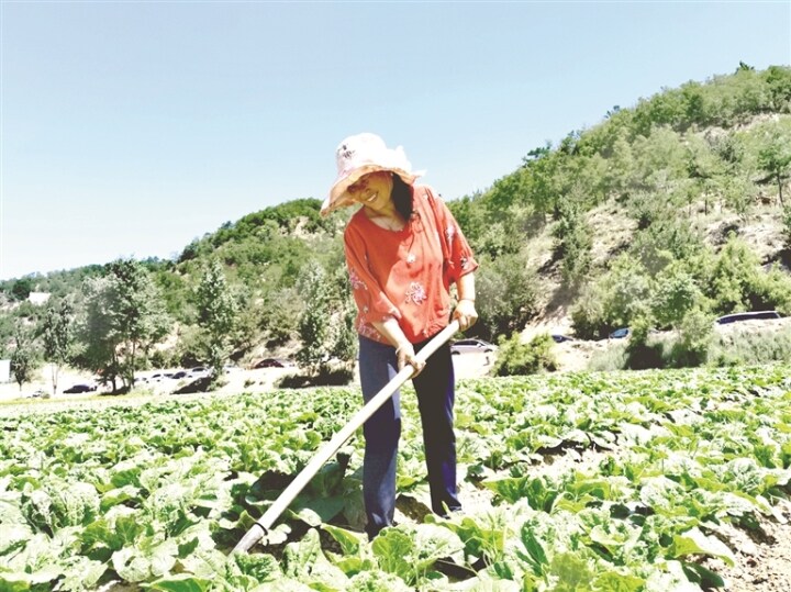 离石区吴城镇王营庄村打造乡村振兴、乡村旅游示范标杆