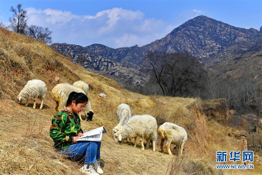 （图片故事）（2）下山返校，冲刺高考——吕梁山娃复课记